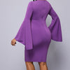 Women's Solid Color Lace Sleeve Casual Hip Hugging Dress